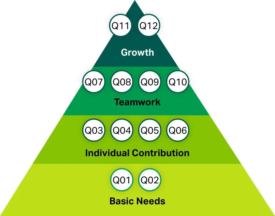  Gallup Q12 